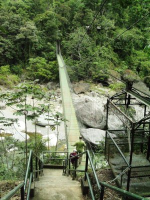 The suspension bridge over the Rio Cangrejal links the park to the rural road