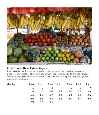Fruit Stand, Near Patan, Gujarat