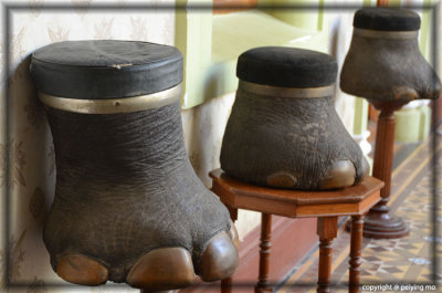 Stools made of elephant feet - Sad!!!