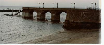 g4/11/179711/3/62259612.O7ZbOPI4.jpg