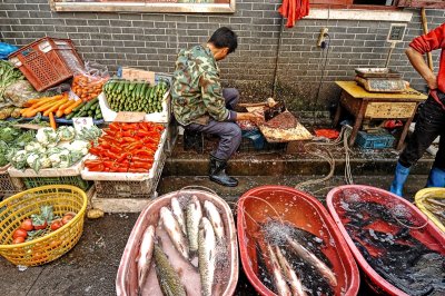 Shanghai - Fish Market