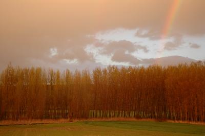 Raining at sunset