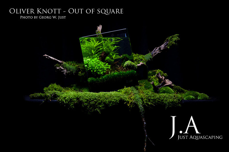 Out of Square by Oliver Knott