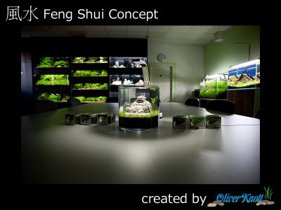 5 Liter Feng Shui Concept by Oliver Knott