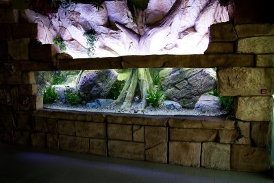 Giant Rock Layout by Oliver Knott