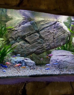 Giant Rock Layout by Oliver Knott
