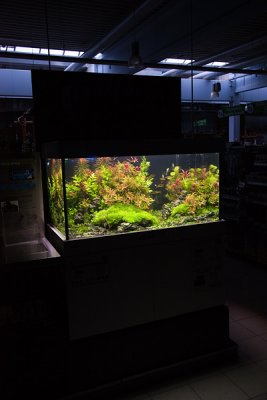 NEW 360 Liter Aquascape by Oliver Knott