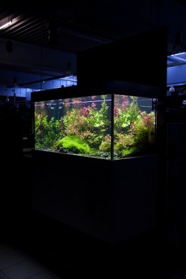 NEW 360 Liter Aquascape by Oliver Knott