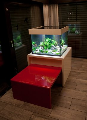 Aquascape by Oliver Knott