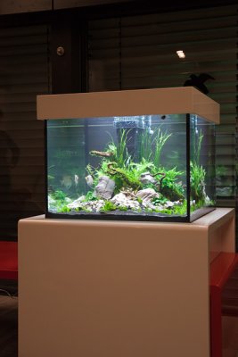 Aquascape by Oliver Knott