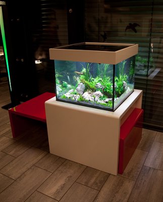 Aquascape by Oliver Knott