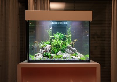 Aquascape by Oliver Knott