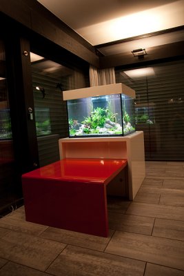 Aquascape by Oliver Knott