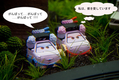 g4/11/259611/3/141555570.5TIN51fe.jpg
