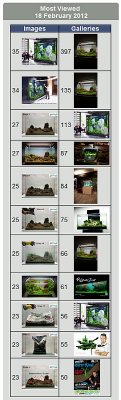 18.02.2012 = 16.404 page views