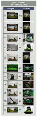 19.02.2012 = 9.201 page views