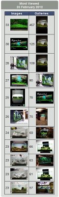 20.02.2012 = 11.187 page views