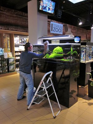 Aquascaping show in Austria with Oliver Knott