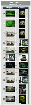 26.02.2012 = 8.230 page views