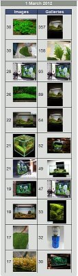 01.03.2012 = 8.126 page views