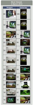 09.03.2012 = 8.169 page views