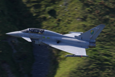 ZJ814 03.08.11.jpg