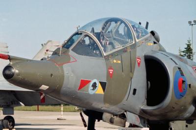 Harrier_501_M.jpg