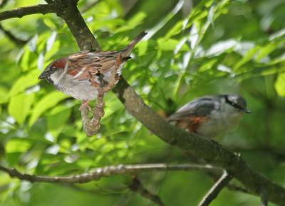 IMG_6127_M.jpg