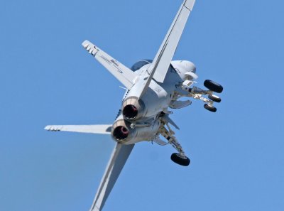 IMG_1617_M.jpg