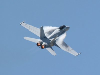 IMG_1650_M.jpg