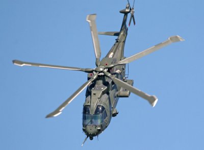 IMG_2350_M.jpg