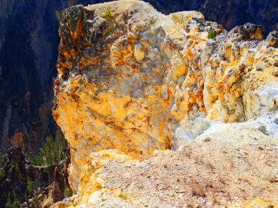 the grand canyon, yellowstone