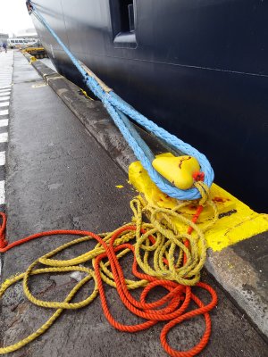 Mooring lines on the Maasdam