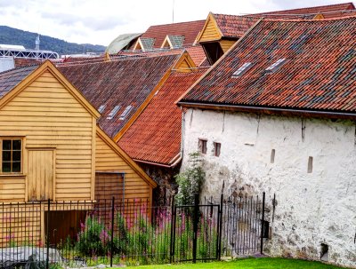 Roof tiles, Bergen, Norway