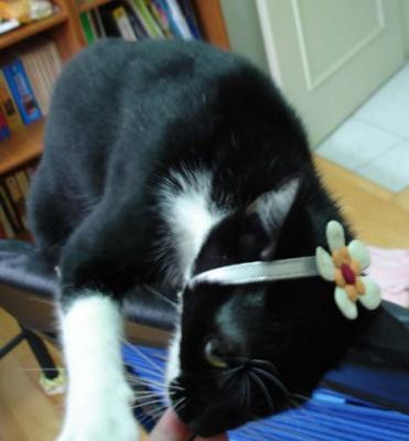 Get this thing offa me!