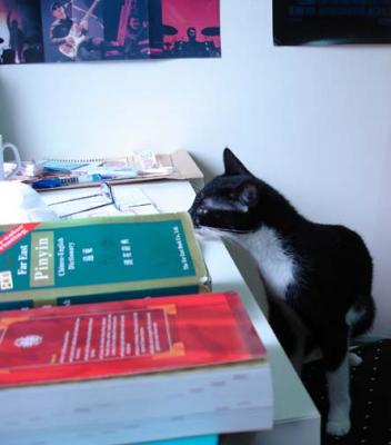 DZ wants to study Chinese