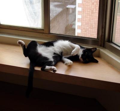 too hot to do more than.....