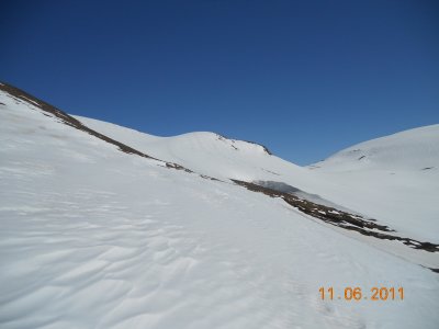 nyja vlin 431.jpg