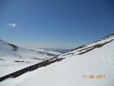 nyja vlin 433.jpg