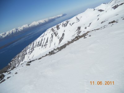 nyja vlin 445.jpg
