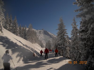  Svarta brekkann  Hauser kaipling  2015 m haed
