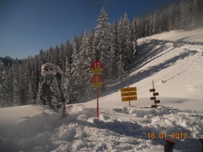 nyja vlin 070.jpg