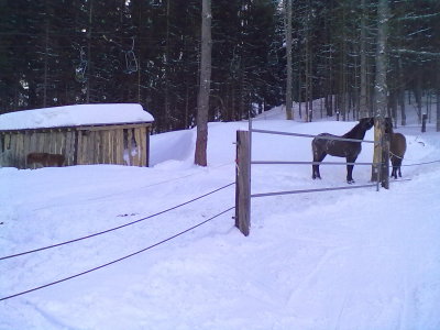  Planai- Hocwurzen- Reiteralm og Hauser kaipling. jan 2012