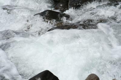 IMG_0090.JPG