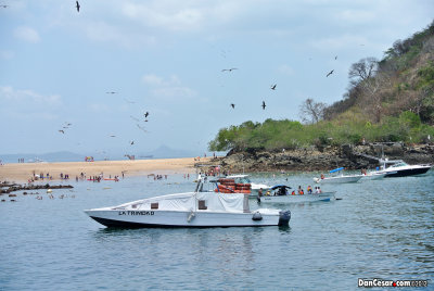 Isla Taboga