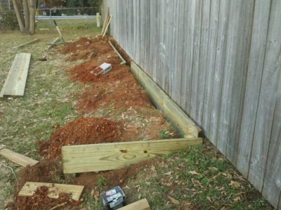 planter_start.jpg