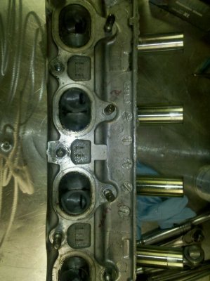 d_series_exhaust.jpg