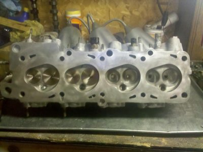 megulon7_head.jpg