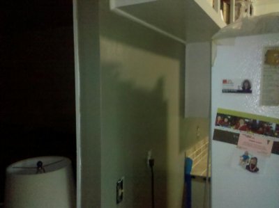 wall_painted_fridge.jpg