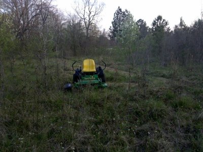 deere_in_the_rough.jpg